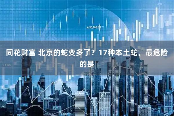 同花财富 北京的蛇变多了？17种本土蛇，最危险的是